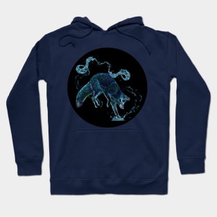 Water Spirit Fox Hoodie